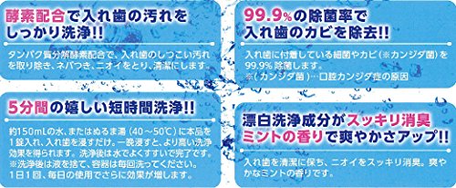 라이온케미칼 132정 5개입 틀니세정제 효소함유 부분전체겸용 이미지 6