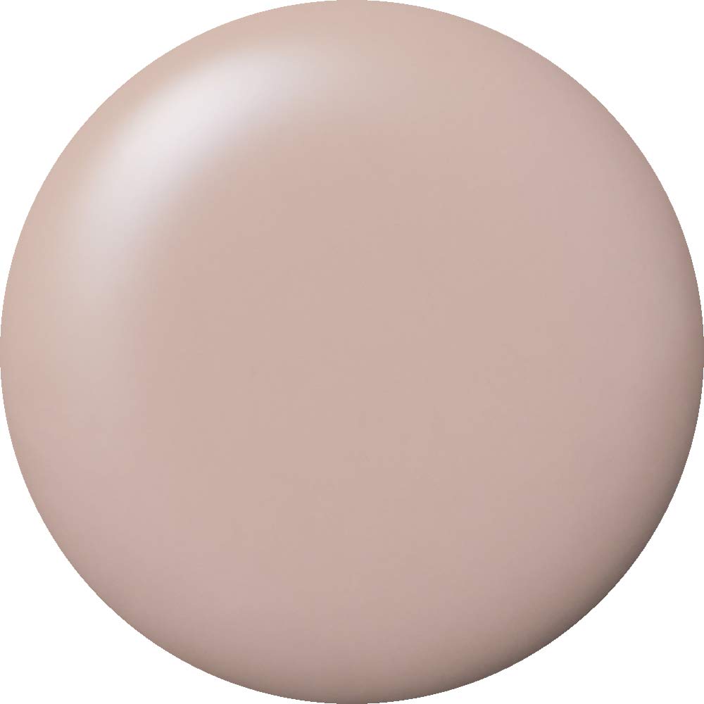 코코이스트 E-250S 아몬드 컨실러 2.5g 젤네일 이미지 2