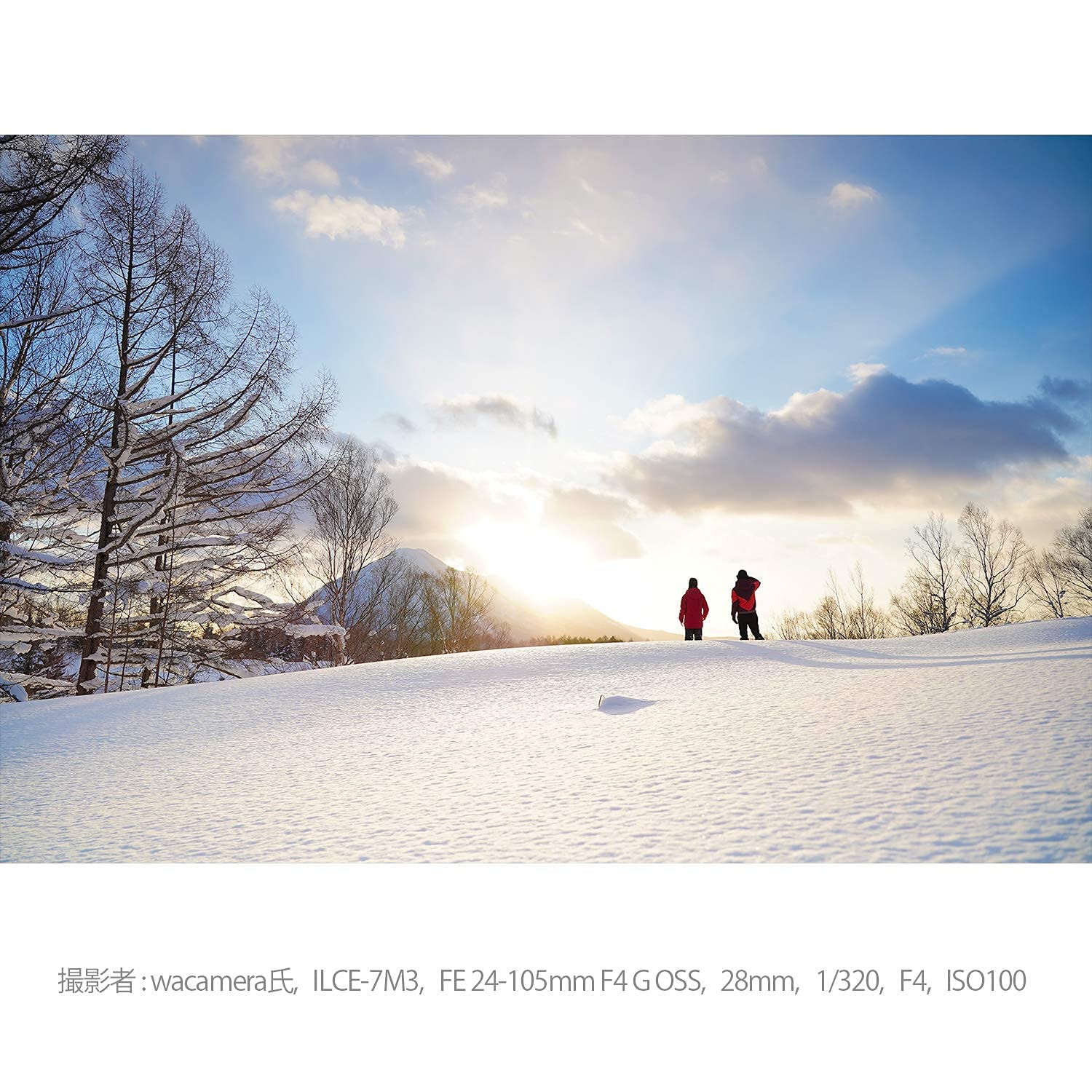 소니 G렌즈 FE 24-105mm F4 G OSS 표준 줌렌즈 SEL24105G 이미지 14