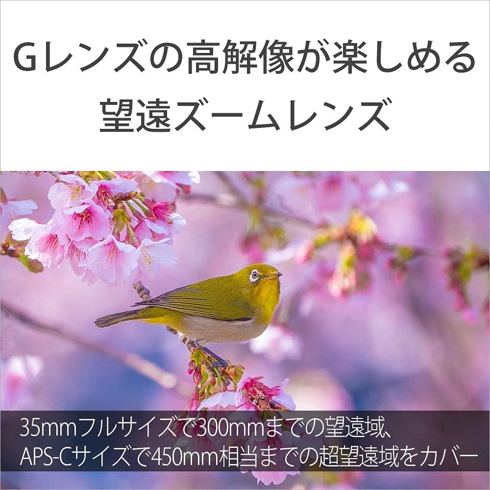 소니 SEL70300G 망원 줌 렌즈 보호 필터 세트 VF-72MPAM 이미지 6