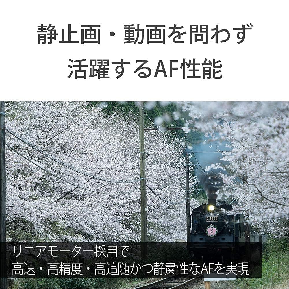 소니 SEL70300G 망원 줌 렌즈 보호 필터 세트 VF-72MPAM 이미지 11