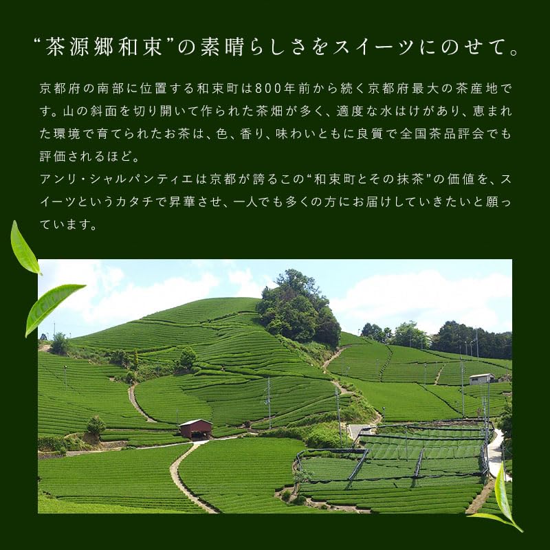 앙리 샤르팡티에 교토 장인 말차 휘낭시에 5개입 이미지 6