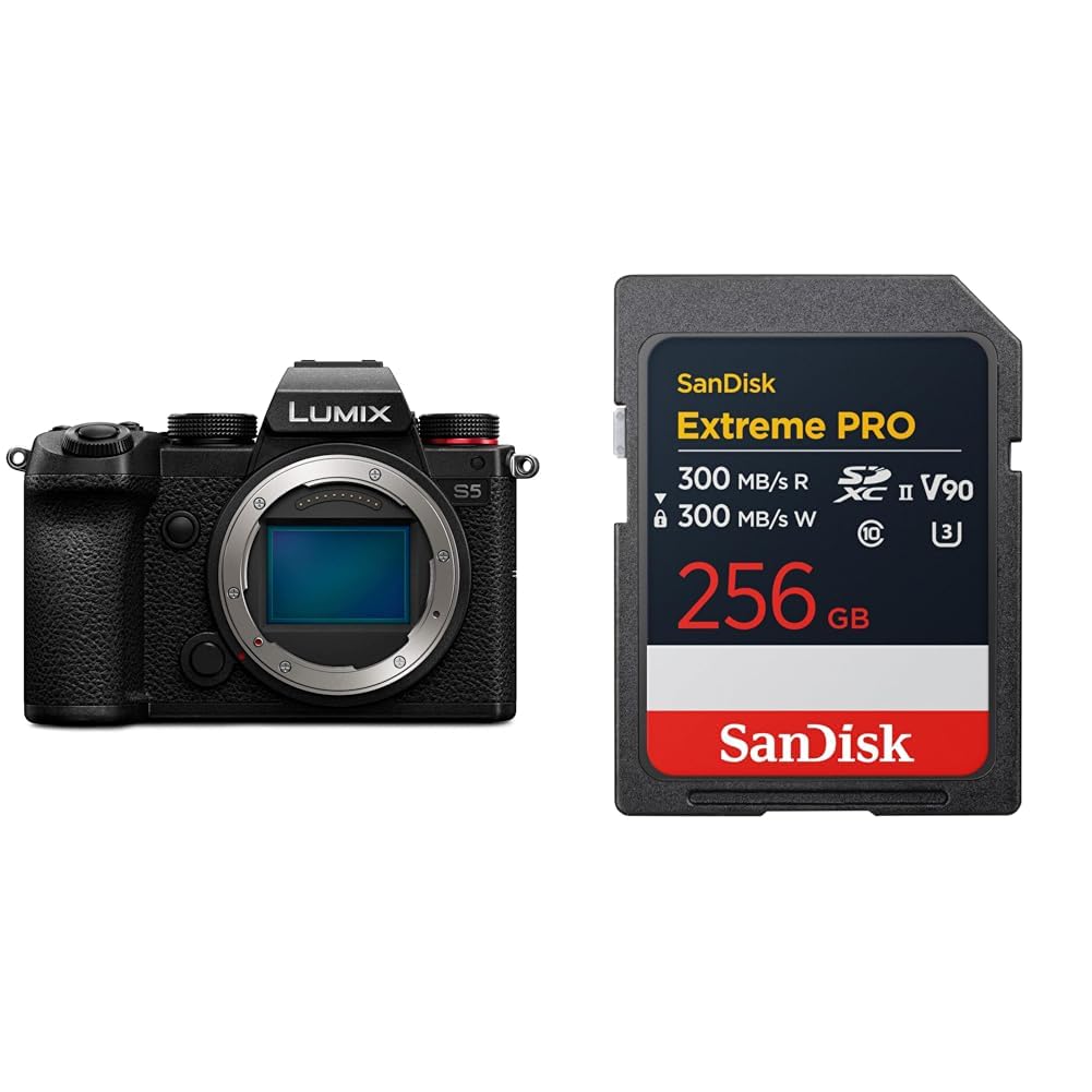 파나소닉 루믹스 DC-S5-K 블랙 바디 256GB