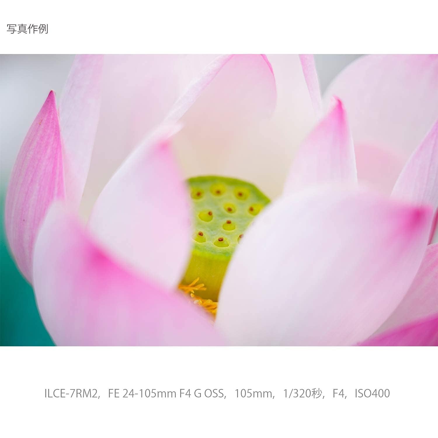 소니 알파 7 IV 풀프레임 미러리스 카메라 표준줌렌즈 SEL24105G 키트 이미지 27