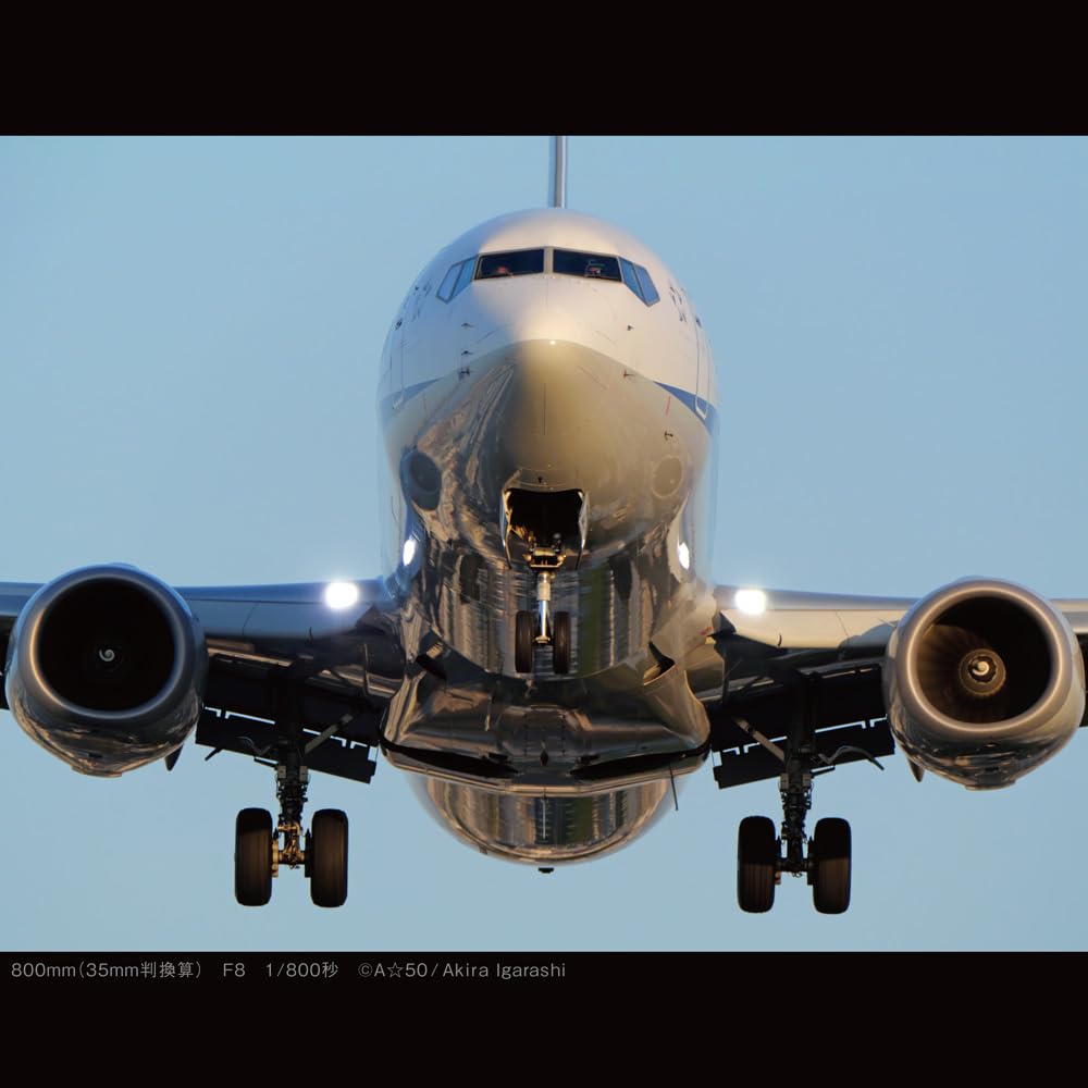파나소닉 라이카 DG VARIO-ELMAR 100-400mm F4.0-6.3 이미지 7
