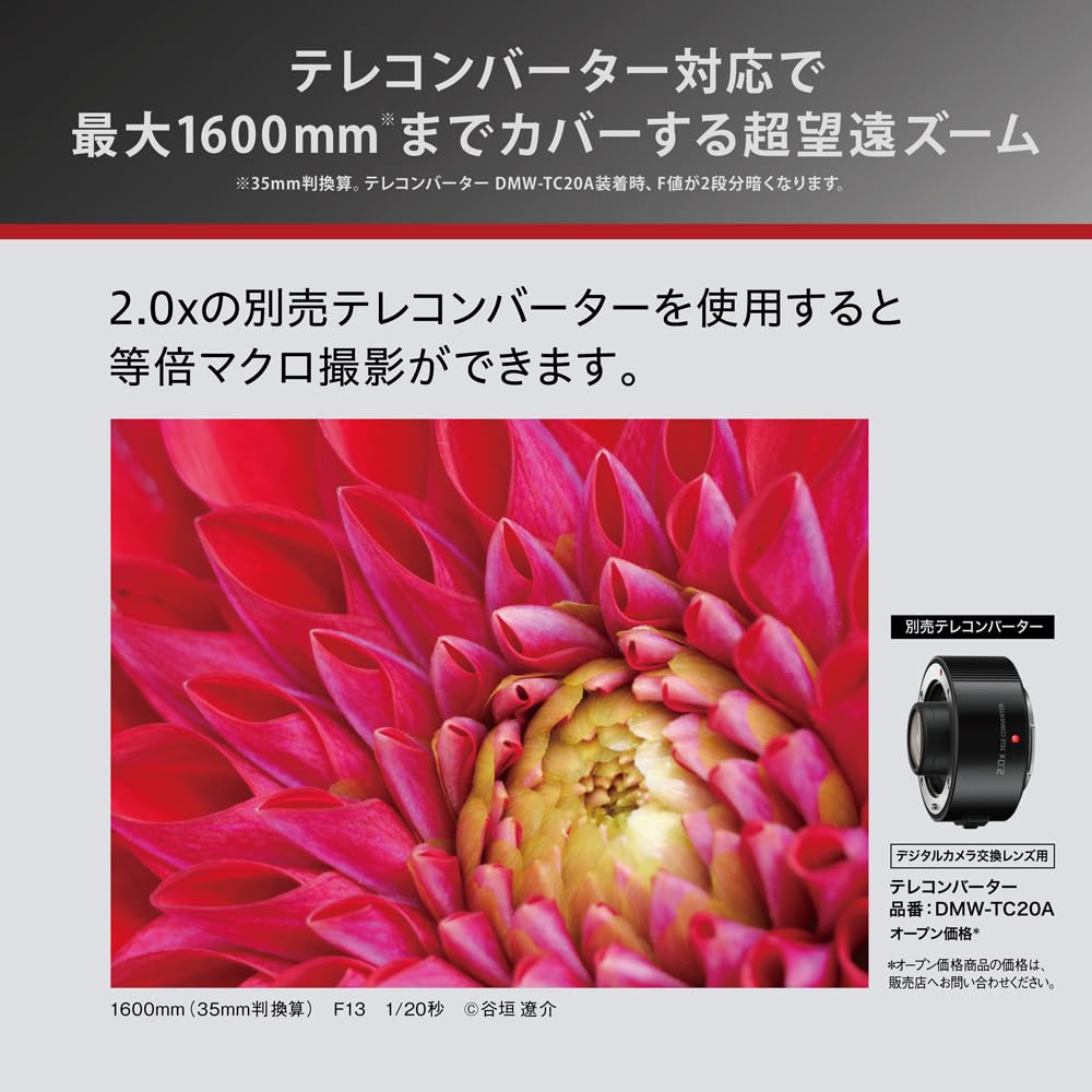 파나소닉 라이카 DG VARIO-ELMAR 100-400mm F4.0-6.3 이미지 3