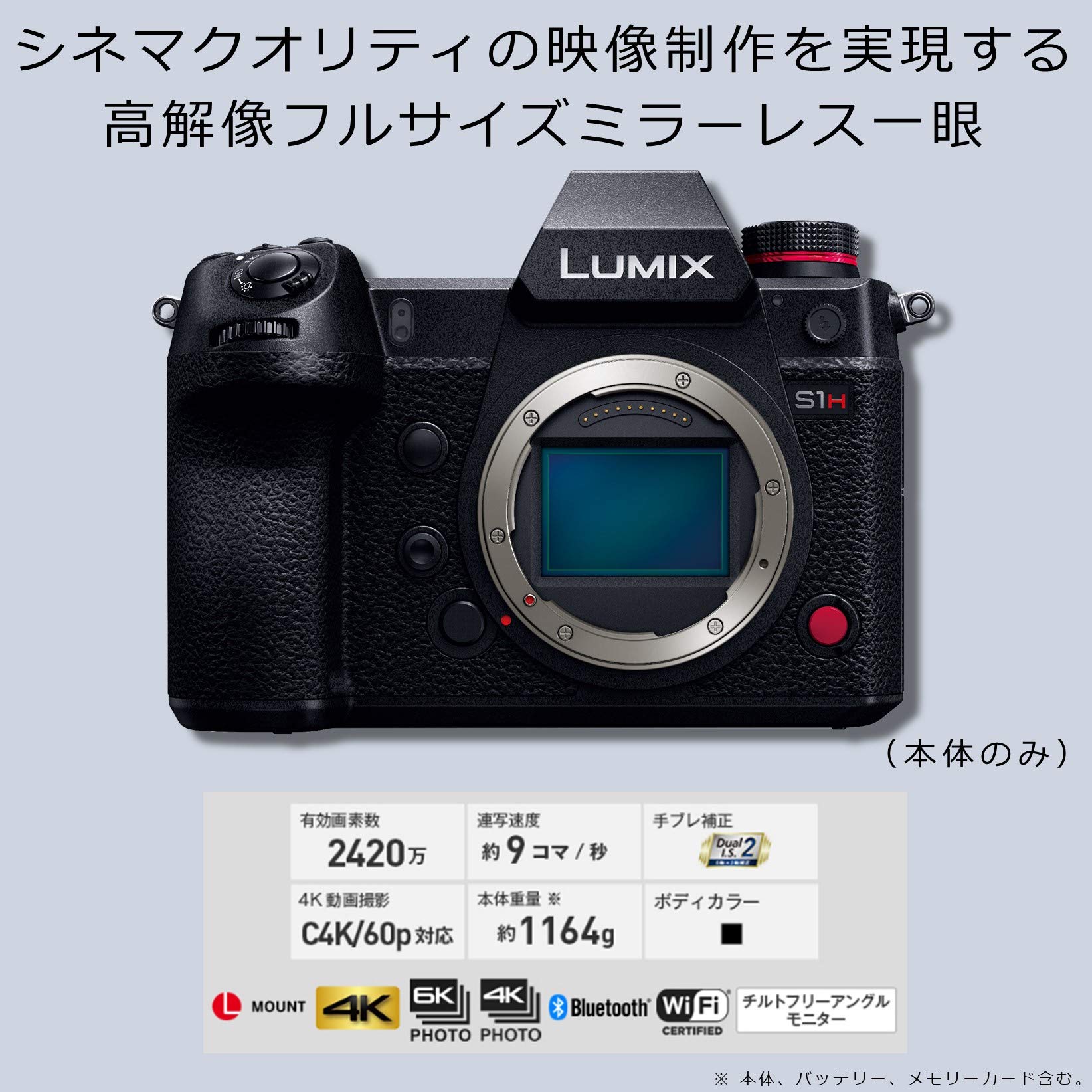 파나소닉 루믹스 DC-S1H 블랙 64GB 미러리스 카메라 이미지 4