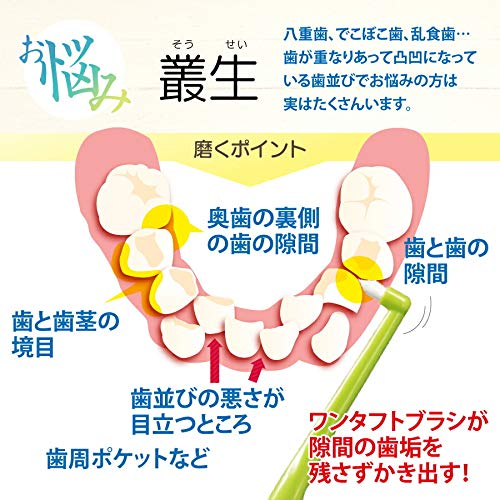 Ci메디컬 페ング립 원터프트칫솔 MS 약간부드러운모 10입 이미지 3