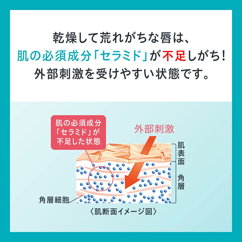 큐렐 립케어 밤 민감성 보습제 이미지 3