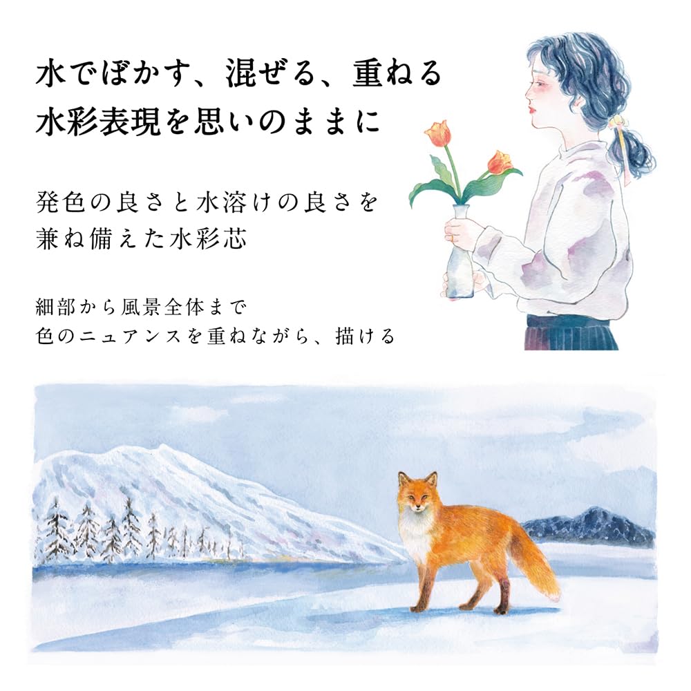 톰보 색지전 블랙 V10 6본입 수채색연필 V10 블랙 이미지 4