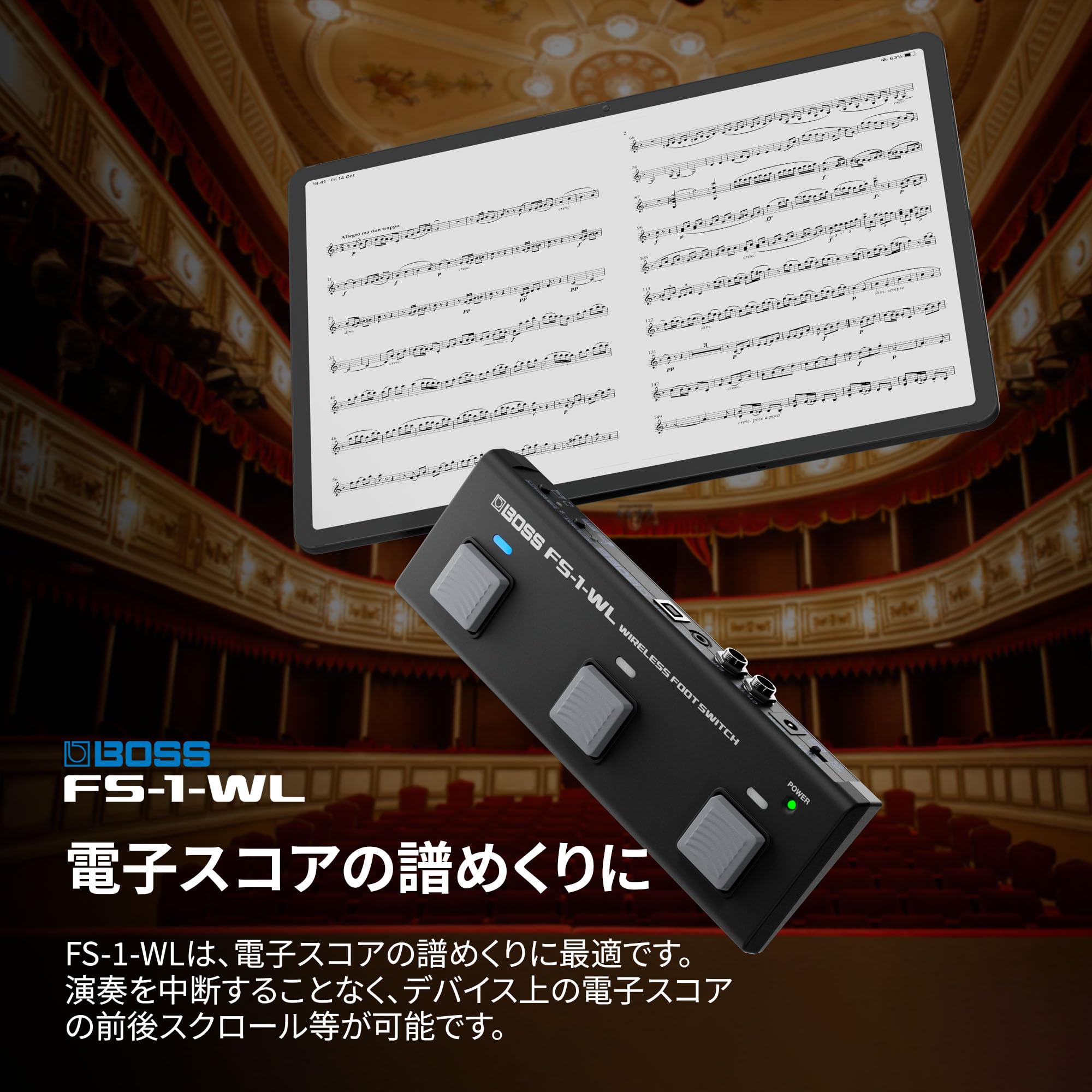 보스 FS-1-WL 무선 풋 스위치 이미지 3