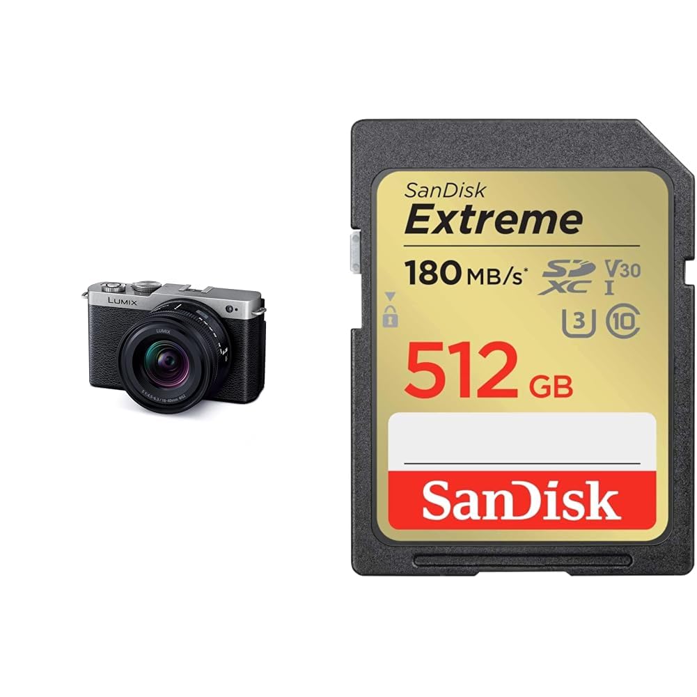 파나소닉 루믹스 다크실버 DC-S9N-S 512GB 미러리스 카메라