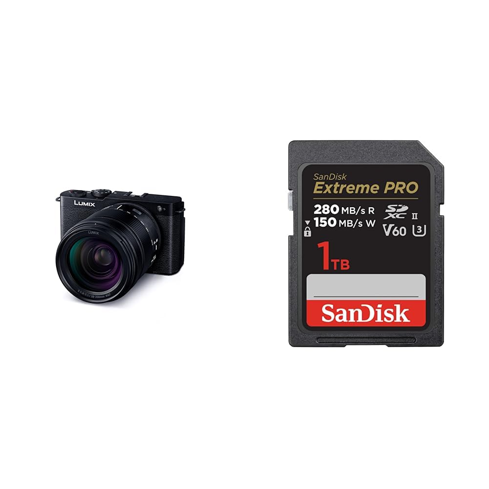 파나소닉 루믹스 DC-S9H-K 제트블랙 줌렌즈킷 1TB