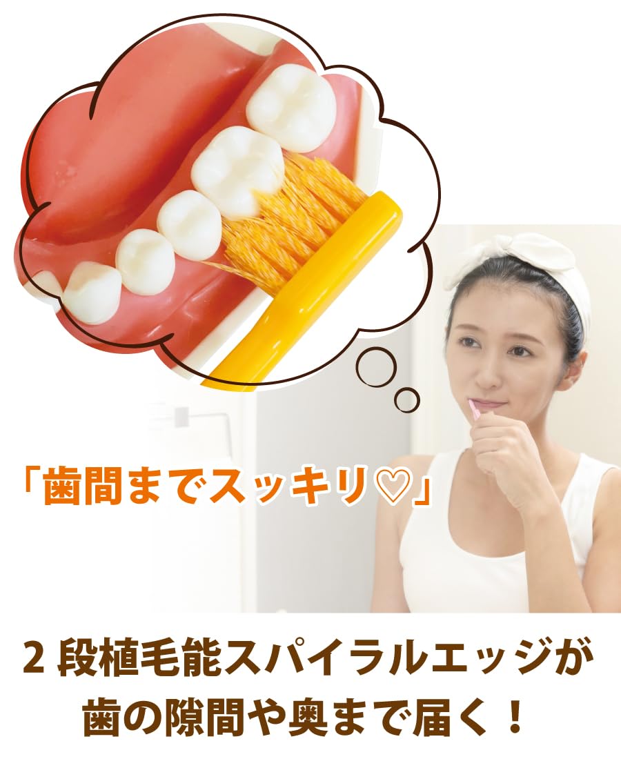 Ci메디컬 PRO PLUS 스파이럴 M 보통 10입 칫솔 이미지 3
