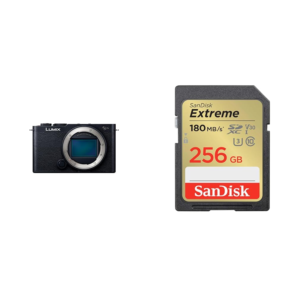 파나소닉 루믹스 제트블랙 DC-S9-K 256GB 풀프레임 미러리스 카메라