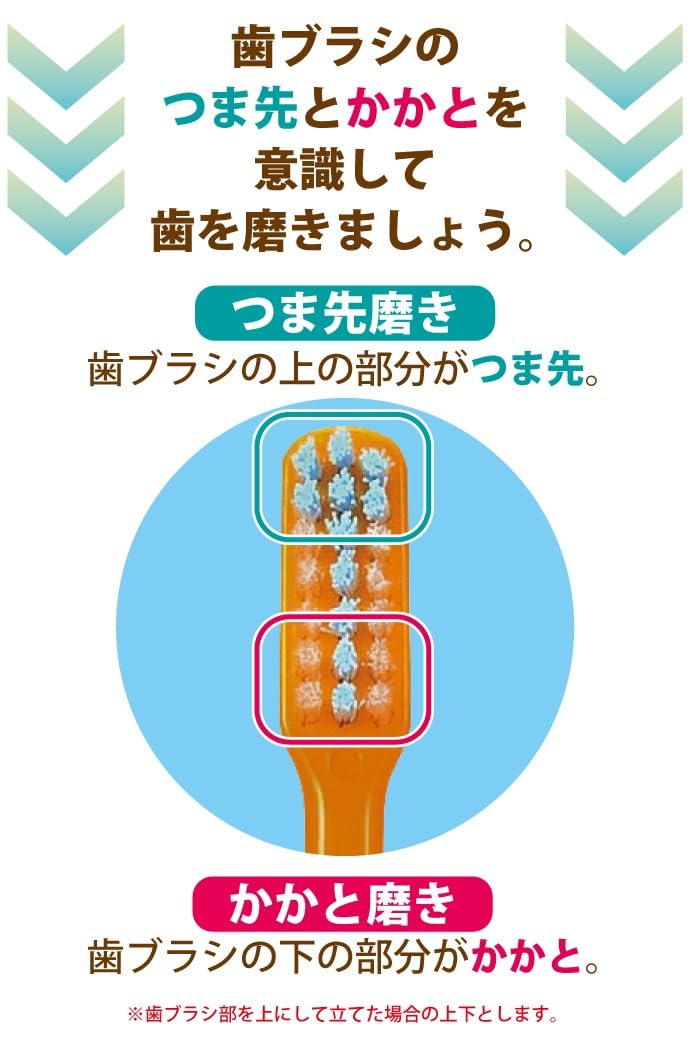 Ci메디컬 PRO PLUS M 성인용 칫솔 20입 보통모 이미지 4
