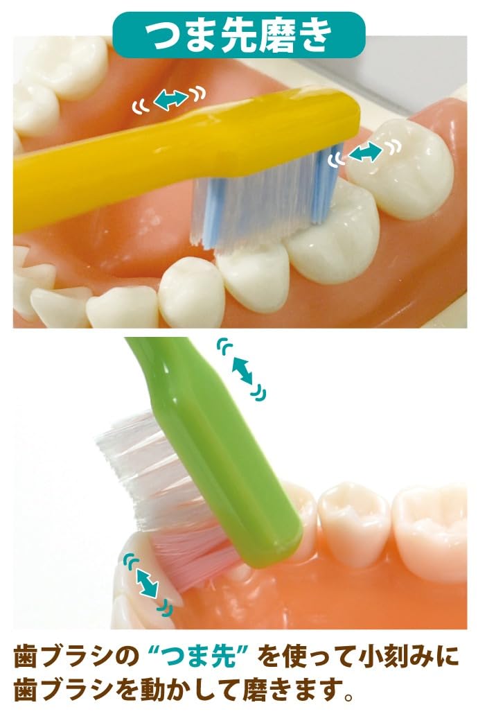 Ci메디컬 PRO PLUS M 성인용 칫솔 20입 보통모 이미지 5