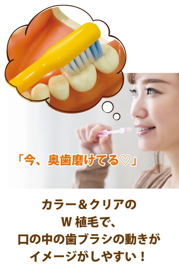 Ci메디컬 PRO PLUS M 성인용 칫솔 20입 보통모 이미지 3