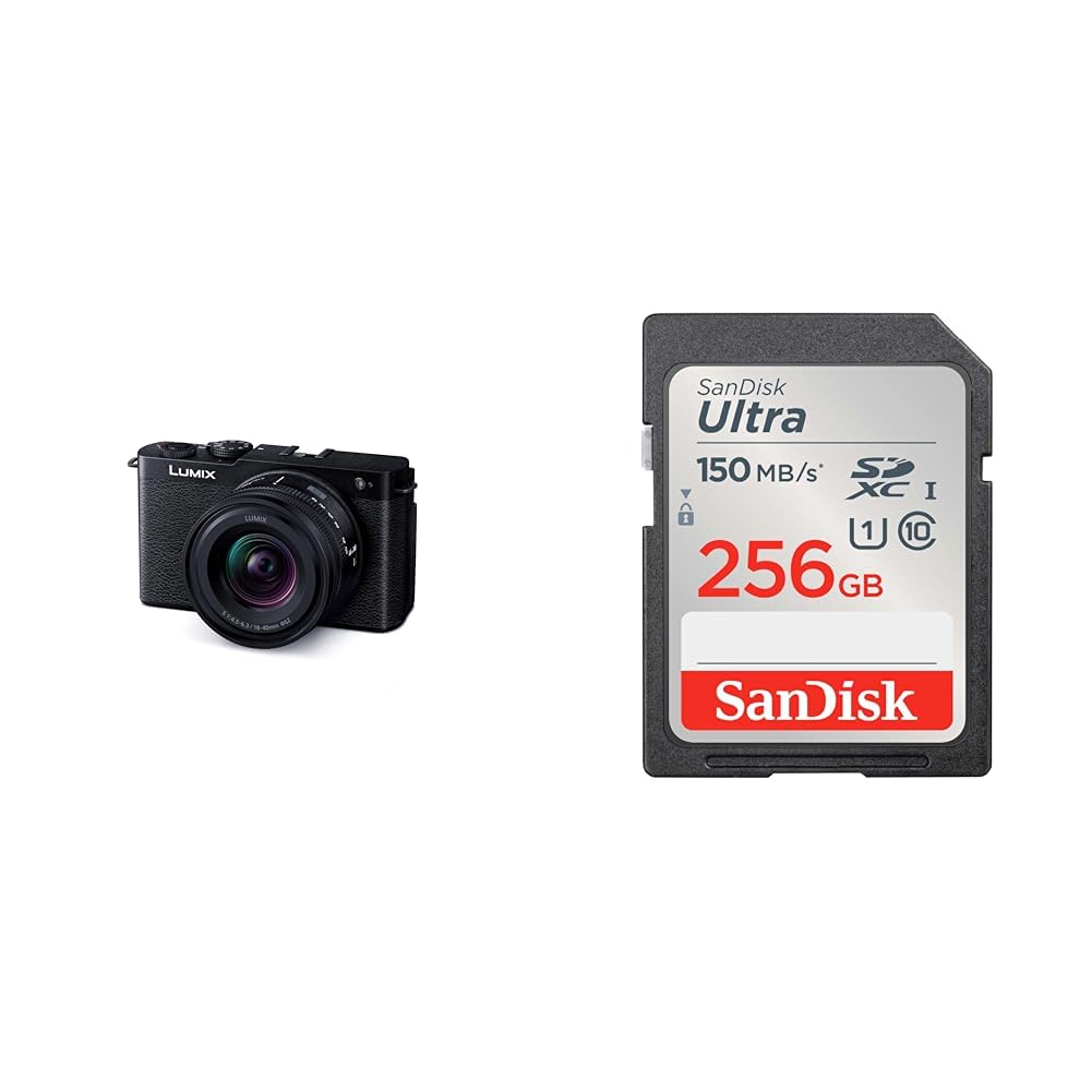 파나소닉 루믹스 DC-S9N-K 제트블랙 렌즈킷 256GB 울트라