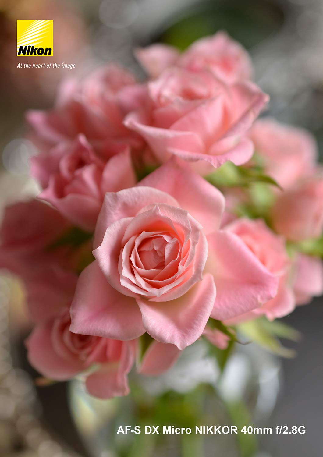 니콘 AF-S DX Micro NIKKOR 40mm f/2.8G 단렌즈 단품 이미지 8