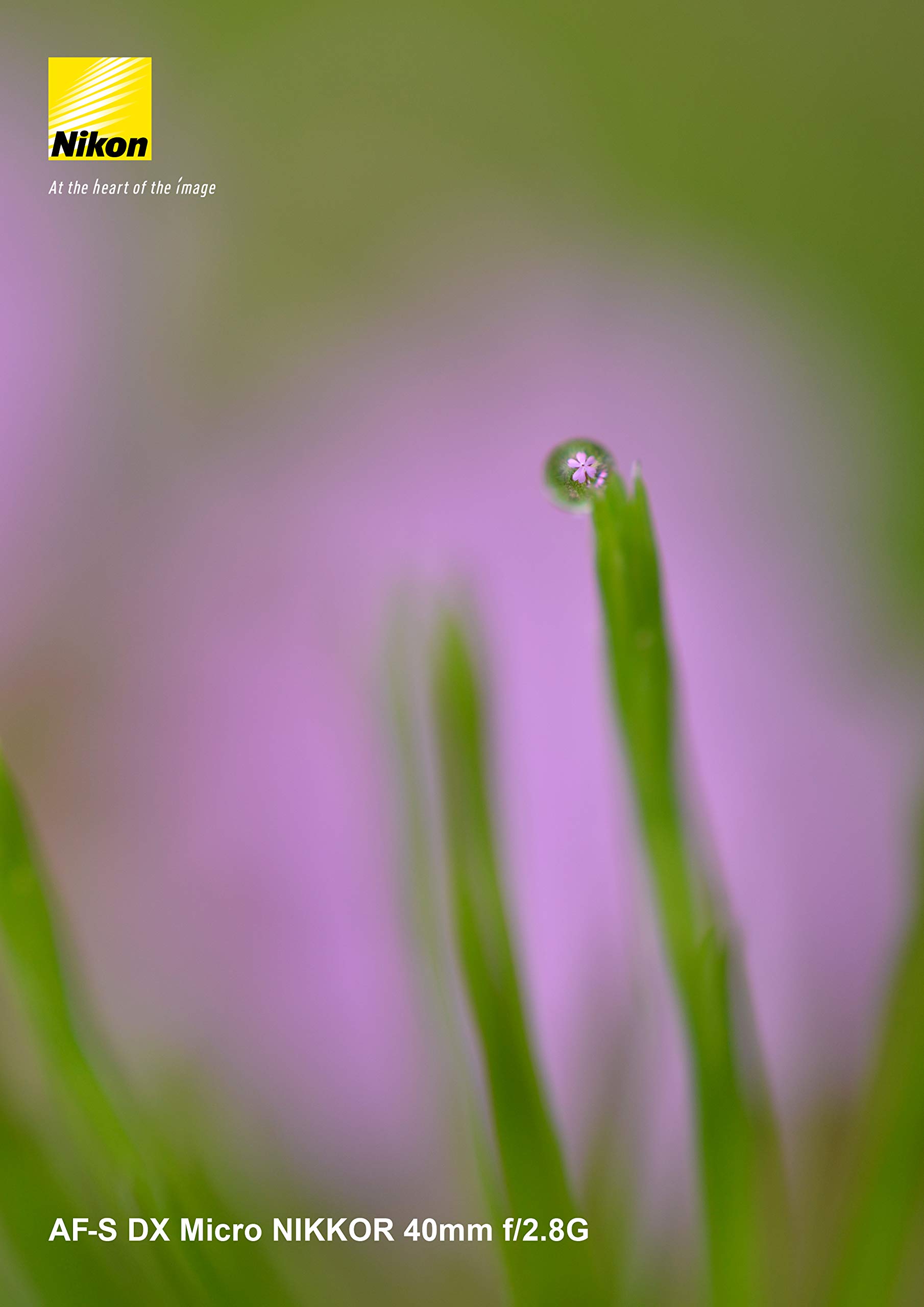 니콘 AF-S DX Micro NIKKOR 40mm f/2.8G 단렌즈 단품 이미지 10
