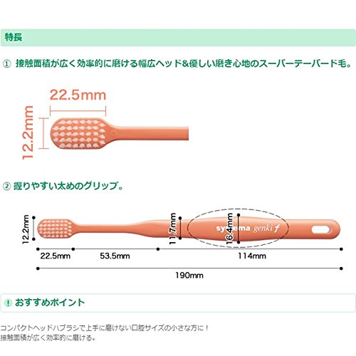 라이온 덴트EX 시스테마 젠키 F 4입 칫솔 이미지 3