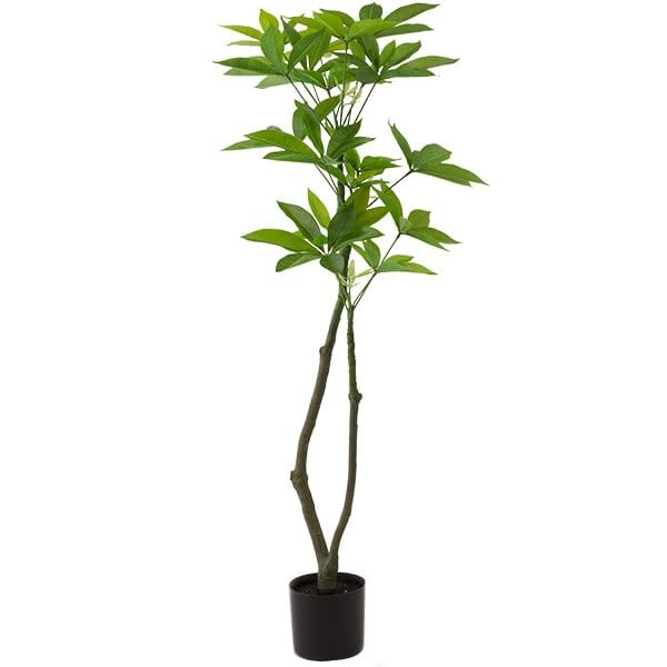 니토리 120cm 파키라 인조나무