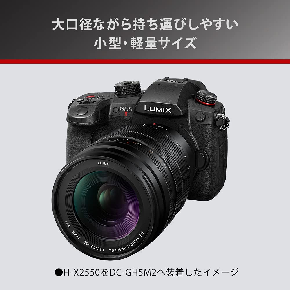 파나소닉 LEICA DG VARIO-SUMMILUX 25-50mm F1.7 ASPH 이미지 3