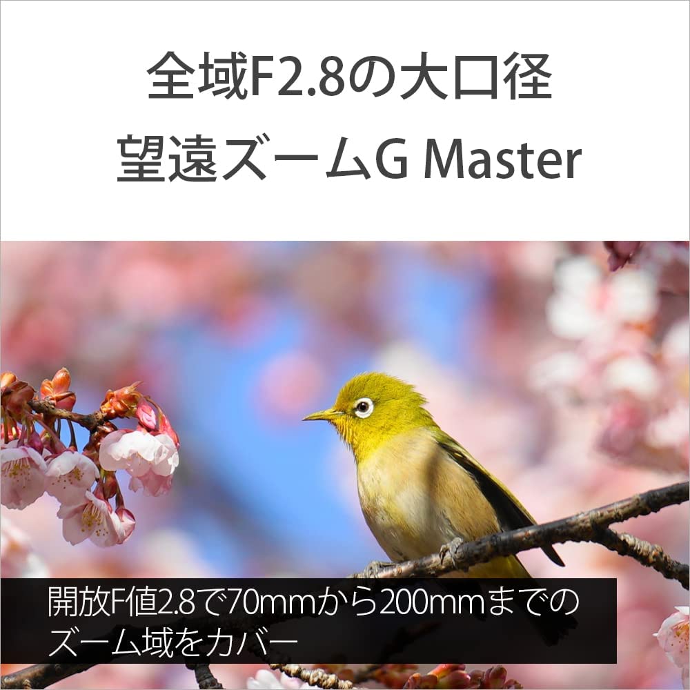 소니 G Master FE 70-200mm F2.8 GM OSS 망원 줌렌즈 이미지 5