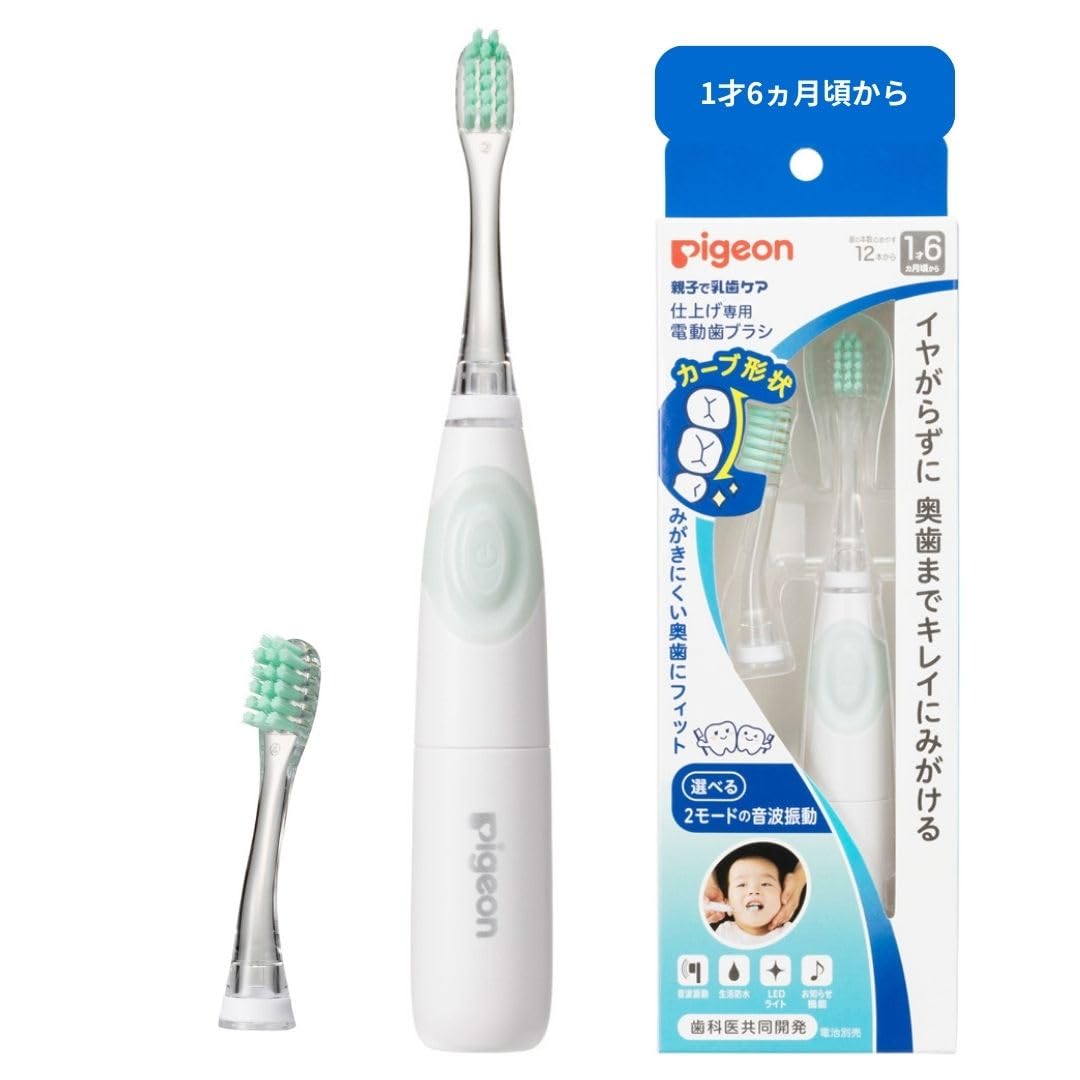 피죤 마무리용 전동칫솔 그린 1043248 18개월 본체