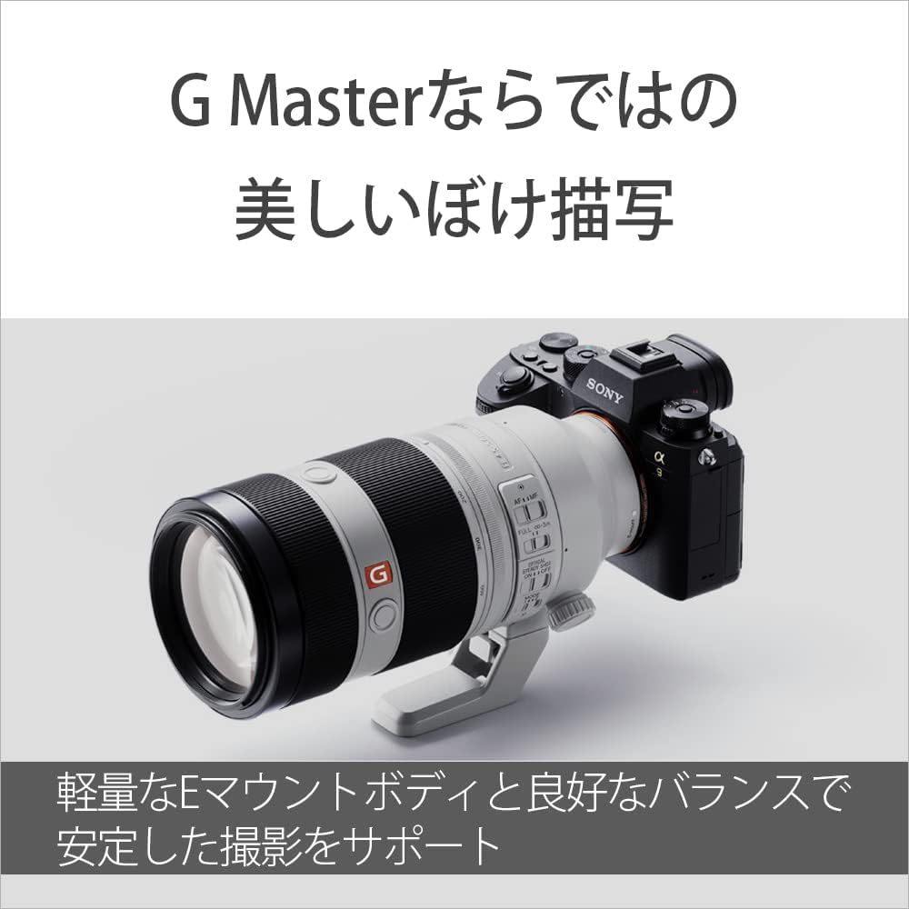 소니 G Master FE 100-400mm F4.5-5.6 GM OSS 망원 줌렌즈 이미지 7