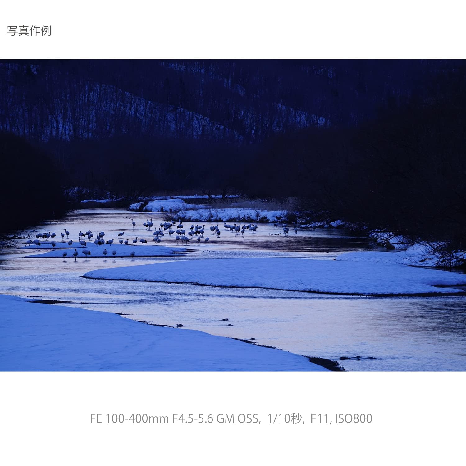 소니 G Master FE 100-400mm F4.5-5.6 GM OSS 망원 줌렌즈 이미지 13
