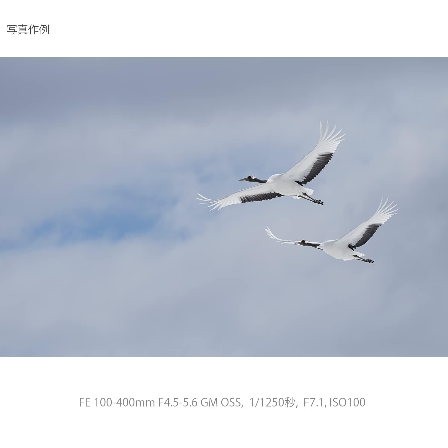 소니 G Master FE 100-400mm F4.5-5.6 GM OSS 망원 줌렌즈 이미지 14