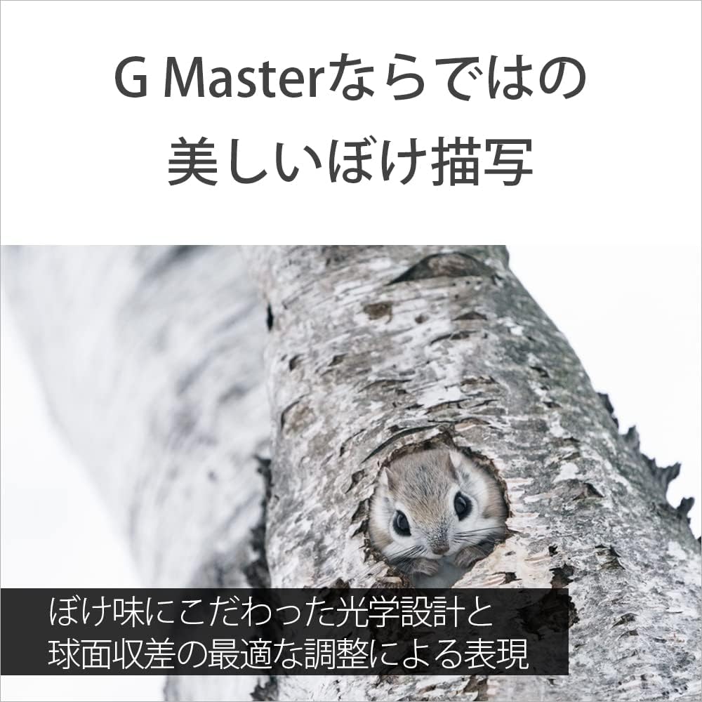 소니 G Master FE 100-400mm F4.5-5.6 GM OSS 망원 줌렌즈 이미지 8