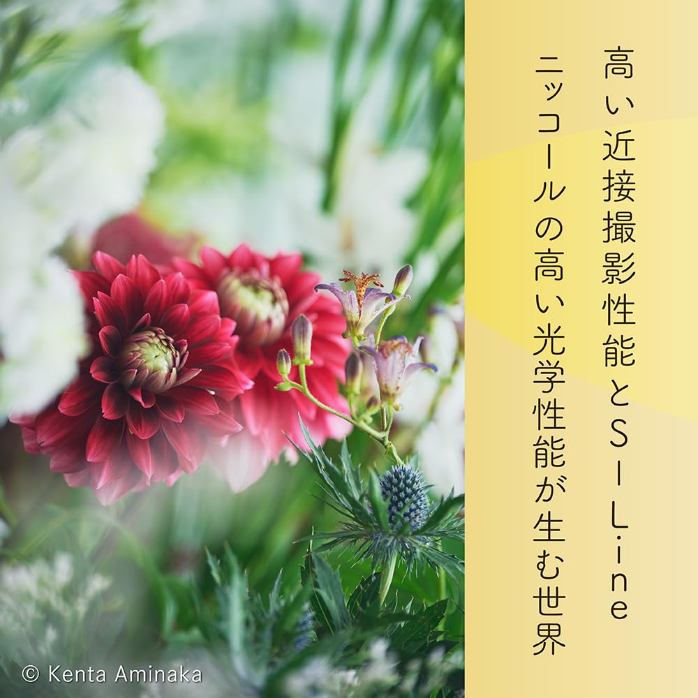 니콘 NIKKOR Z 24-120mm f4 S 표준 줌렌즈 렌즈만 이미지 9