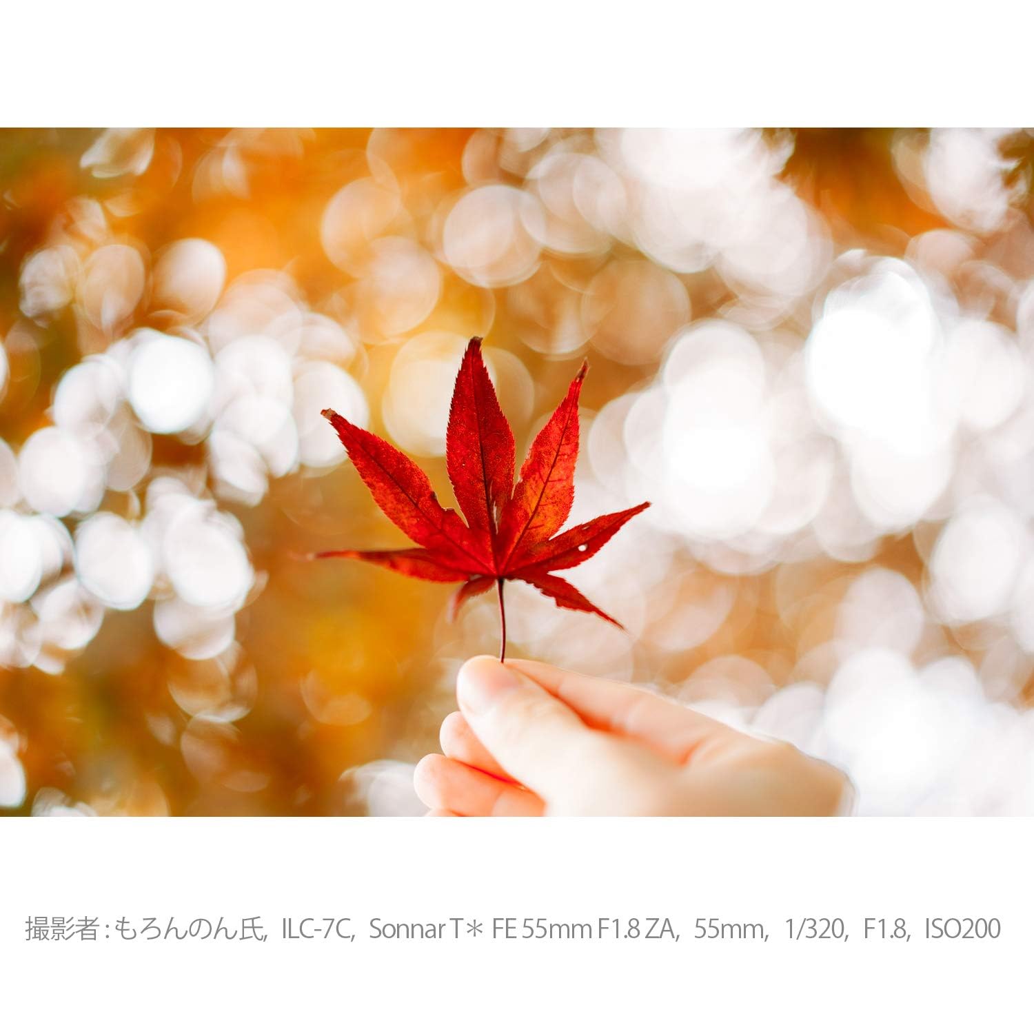 소니 Sonnar T* FE 55mm F1.8 ZA SEL55F18Z 단렌즈 이미지 8
