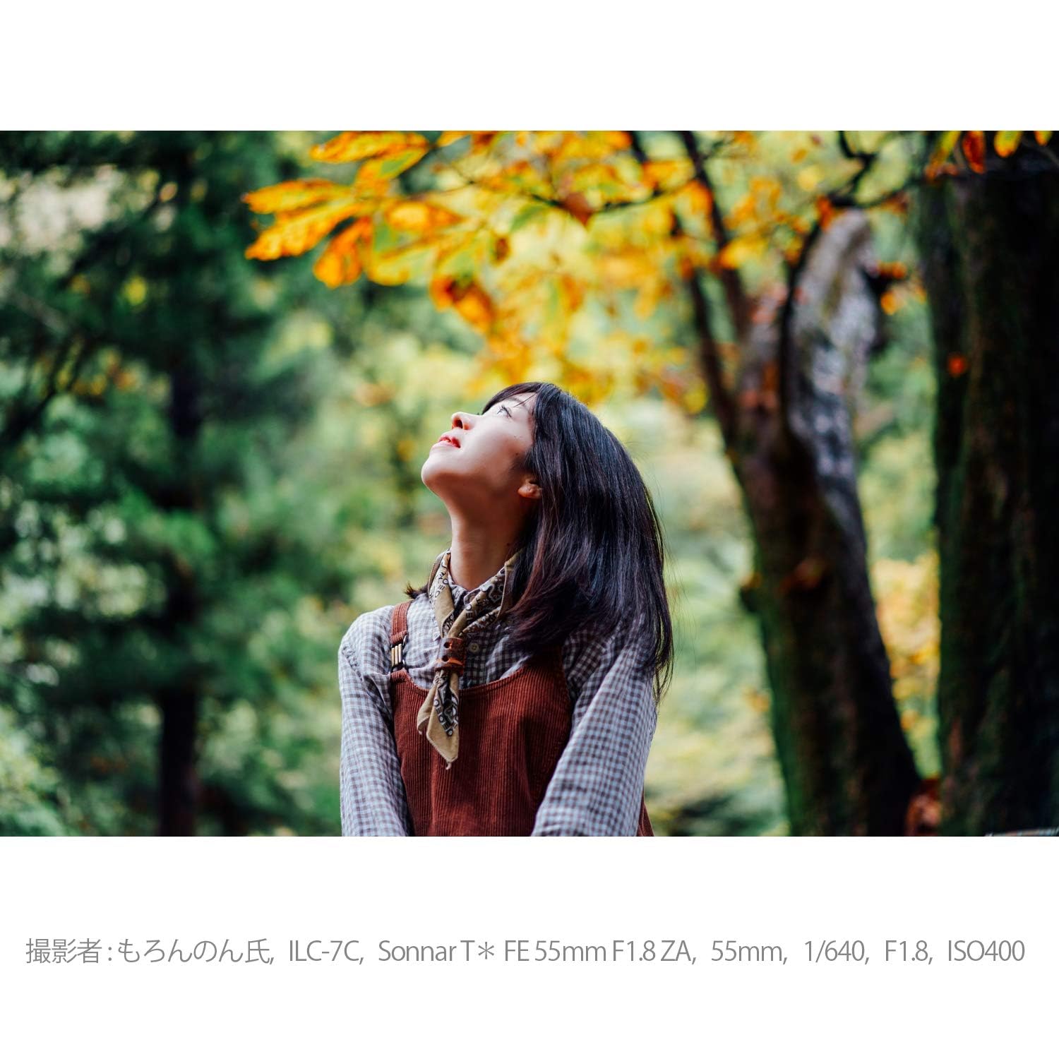 소니 Sonnar T* FE 55mm F1.8 ZA SEL55F18Z 단렌즈 이미지 9