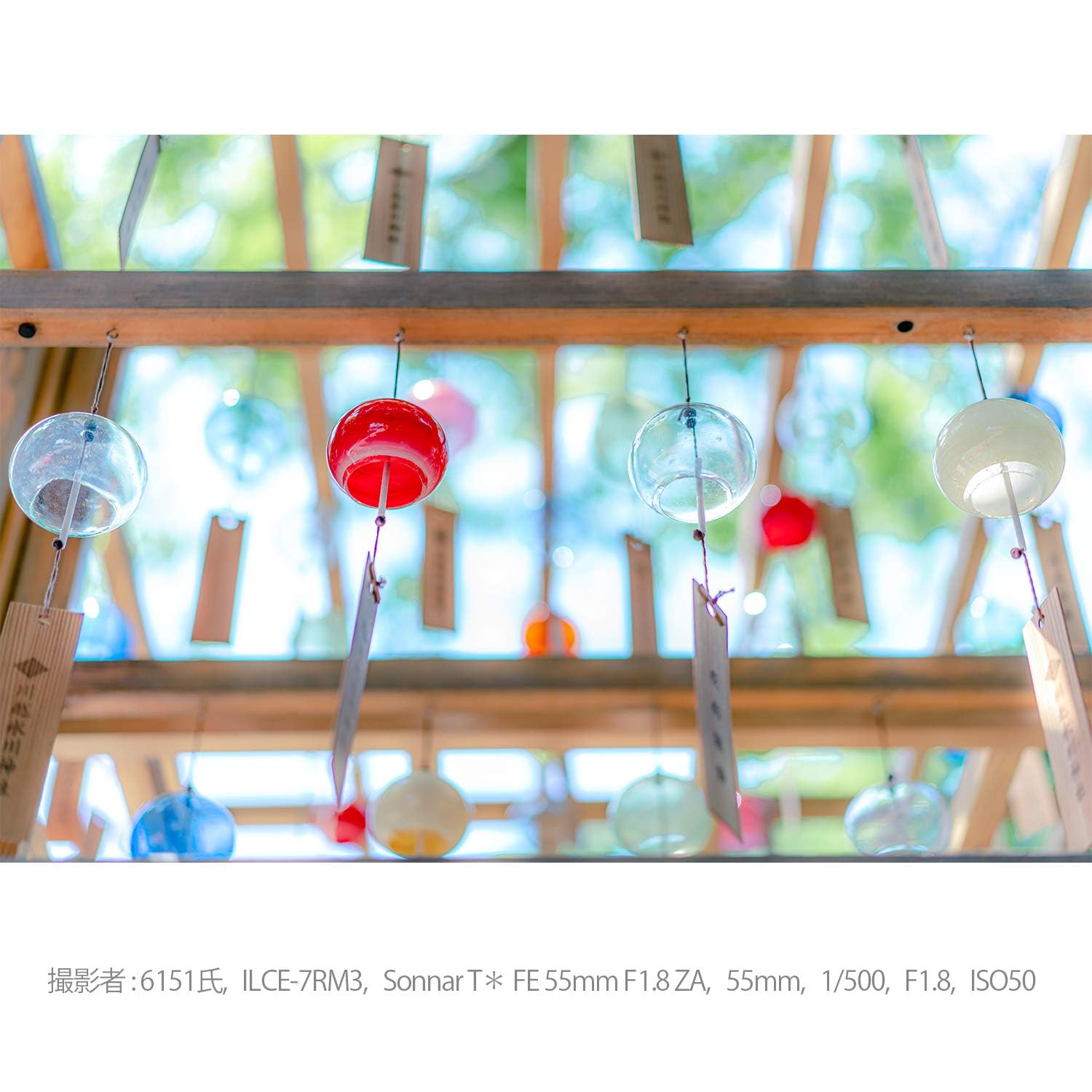 소니 Sonnar T* FE 55mm F1.8 ZA SEL55F18Z 단렌즈 이미지 13