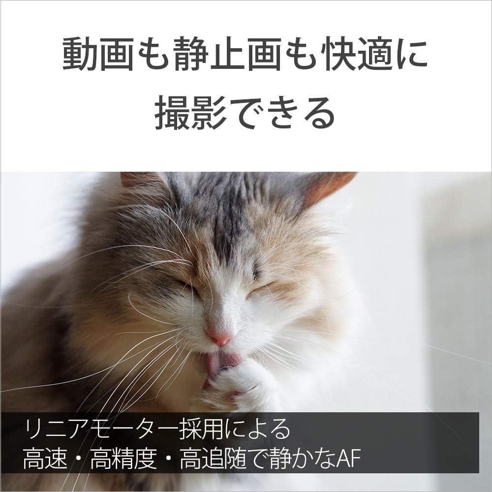 소니 Sonnar T* FE 55mm F1.8 ZA SEL55F18Z 단렌즈 이미지 6