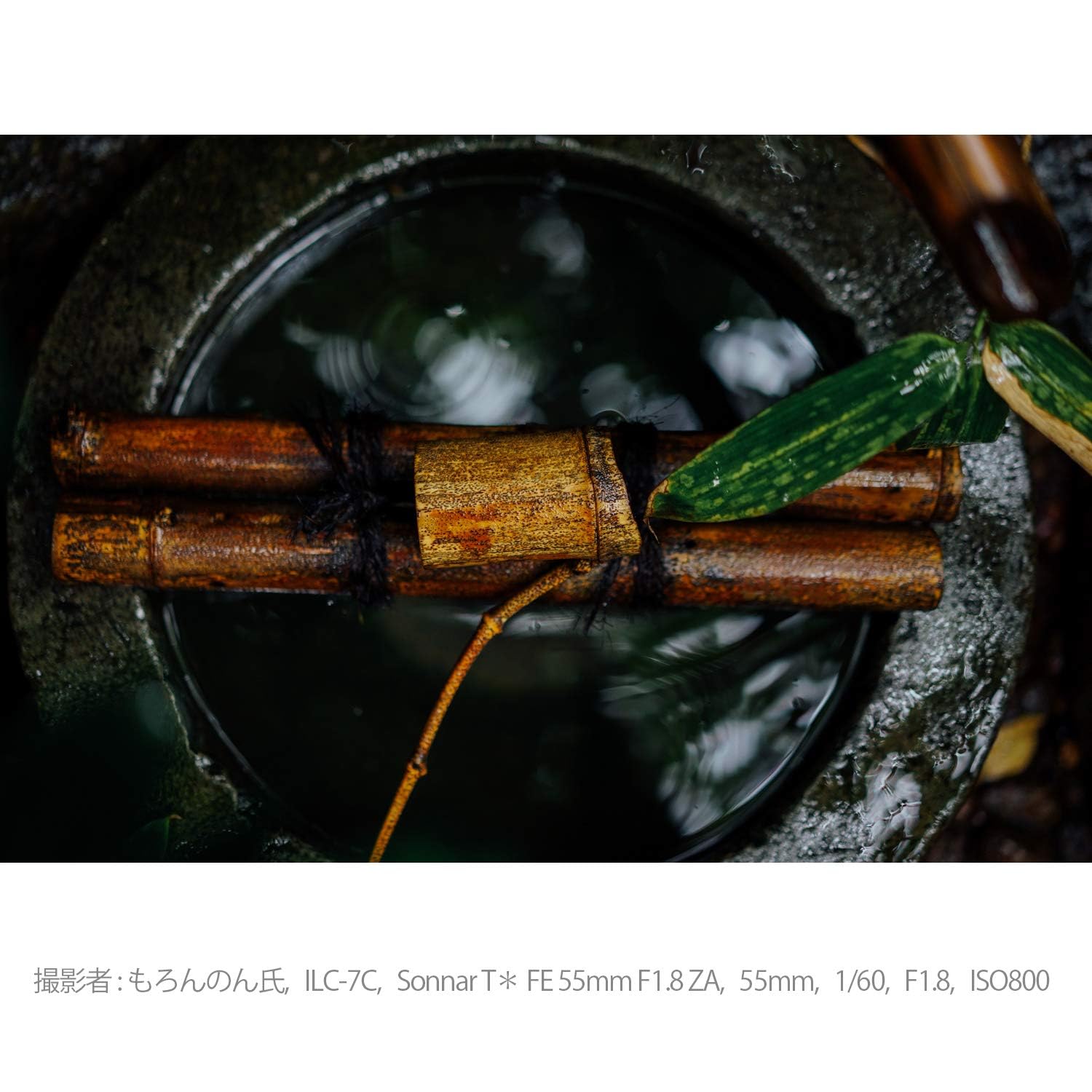 소니 Sonnar T* FE 55mm F1.8 ZA SEL55F18Z 단렌즈 이미지 7