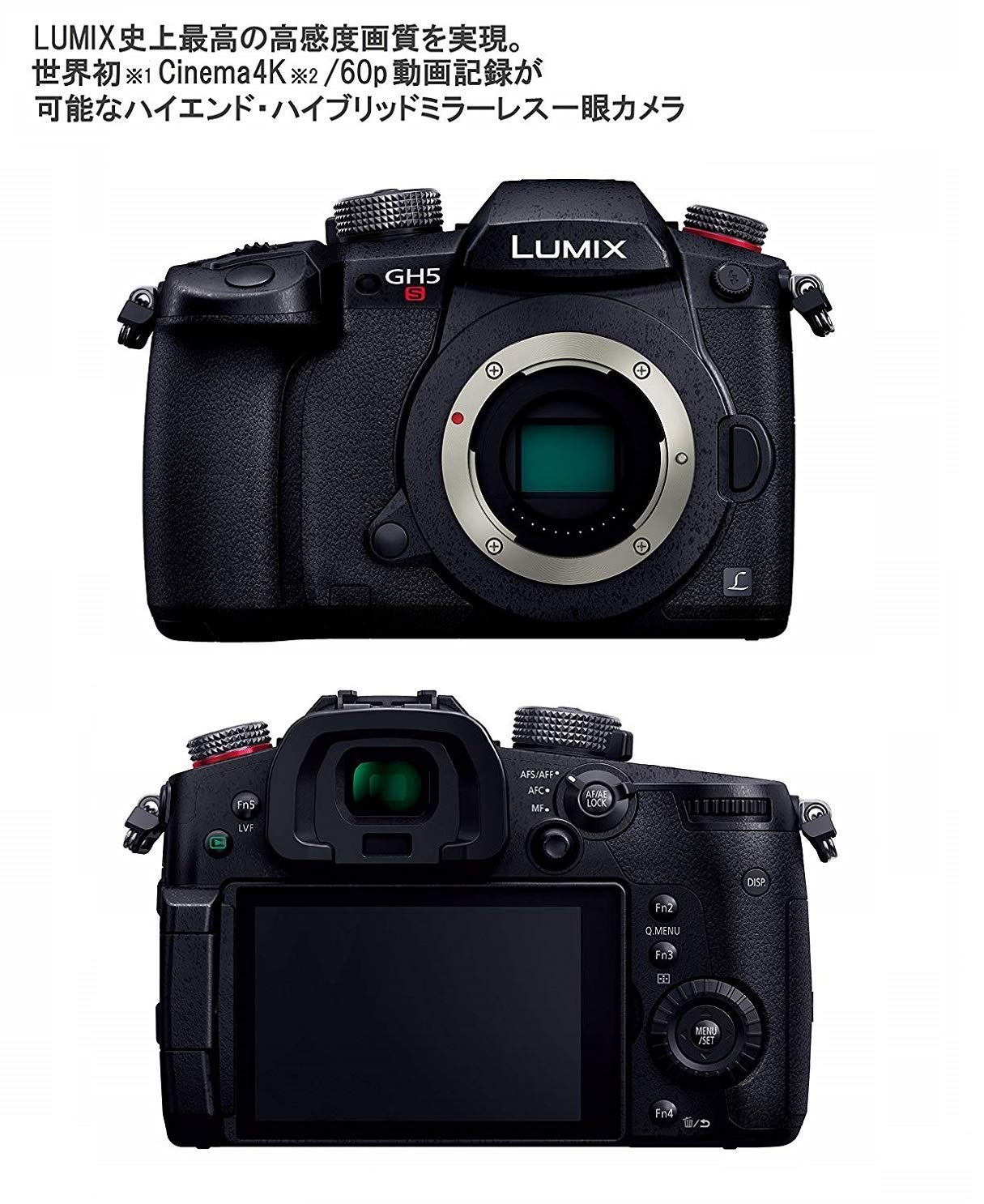 파나소닉 루믹스 DC-GH5S 블랙 미러리스 카메라 이미지 3