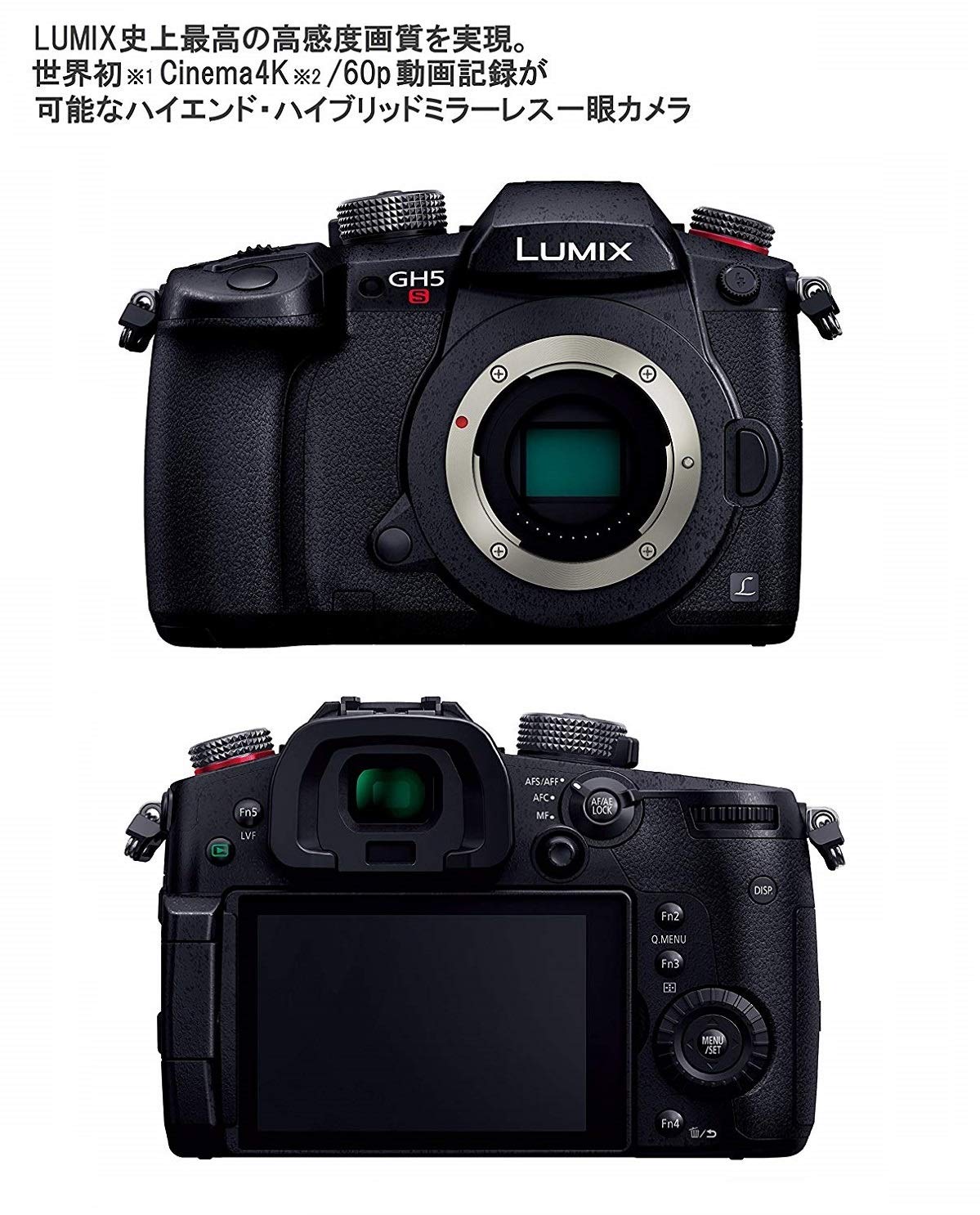 파나소닉 루믹스 DC-GH5S 블랙 미러리스 카메라 이미지 2