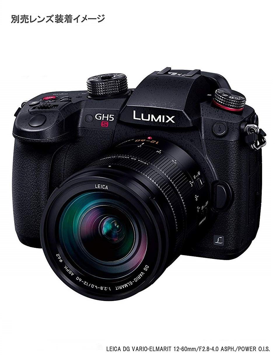 파나소닉 루믹스 DC-GH5S 블랙 미러리스 카메라 이미지 4