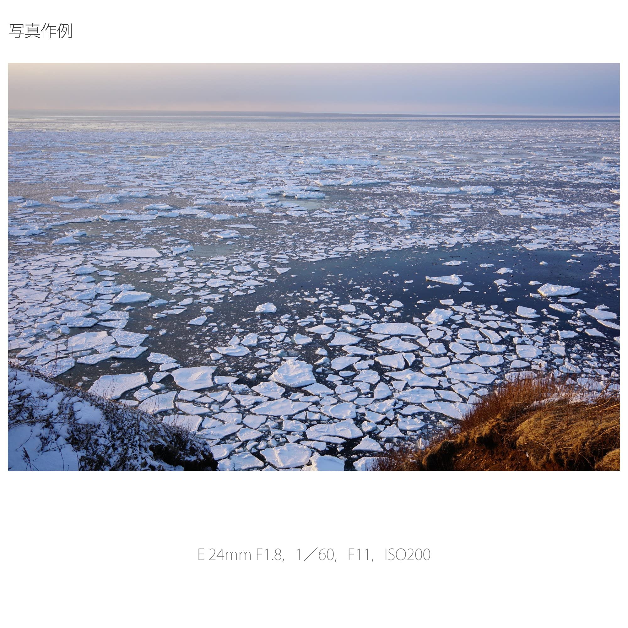 소니 Sonnar T* 24mm F1.8 ZA SEL24F18Z 단렌즈 이미지 2