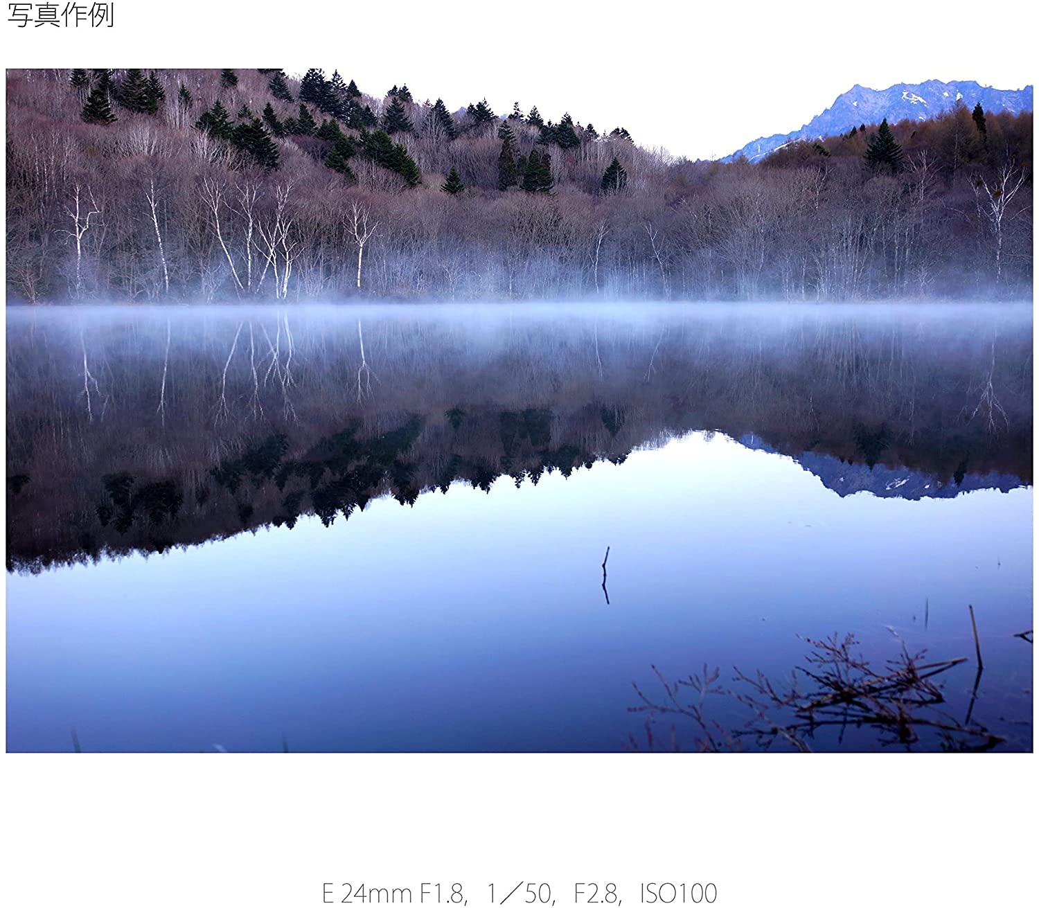 소니 Sonnar T* 24mm F1.8 ZA SEL24F18Z 단렌즈 이미지 7