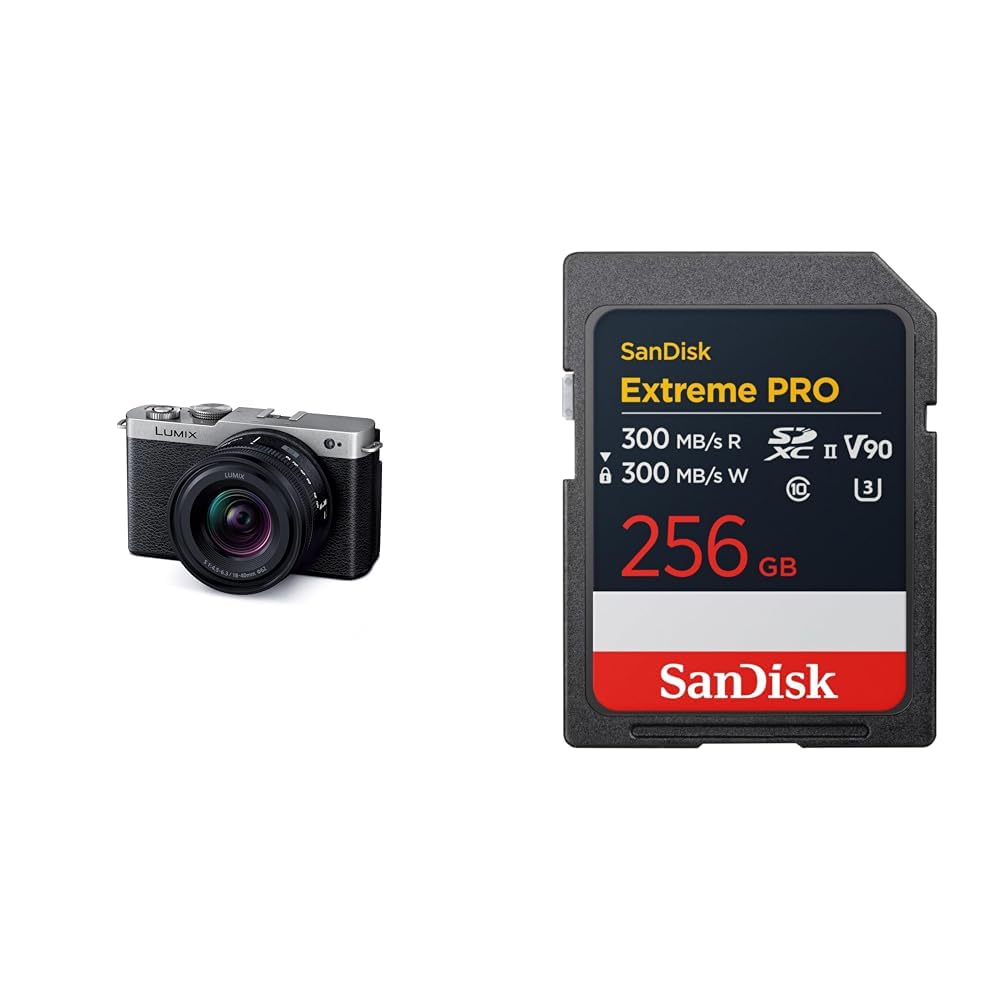 파나소닉 루믹스 DC-S9N-S 다크실버 렌즈킷 256GB V90
