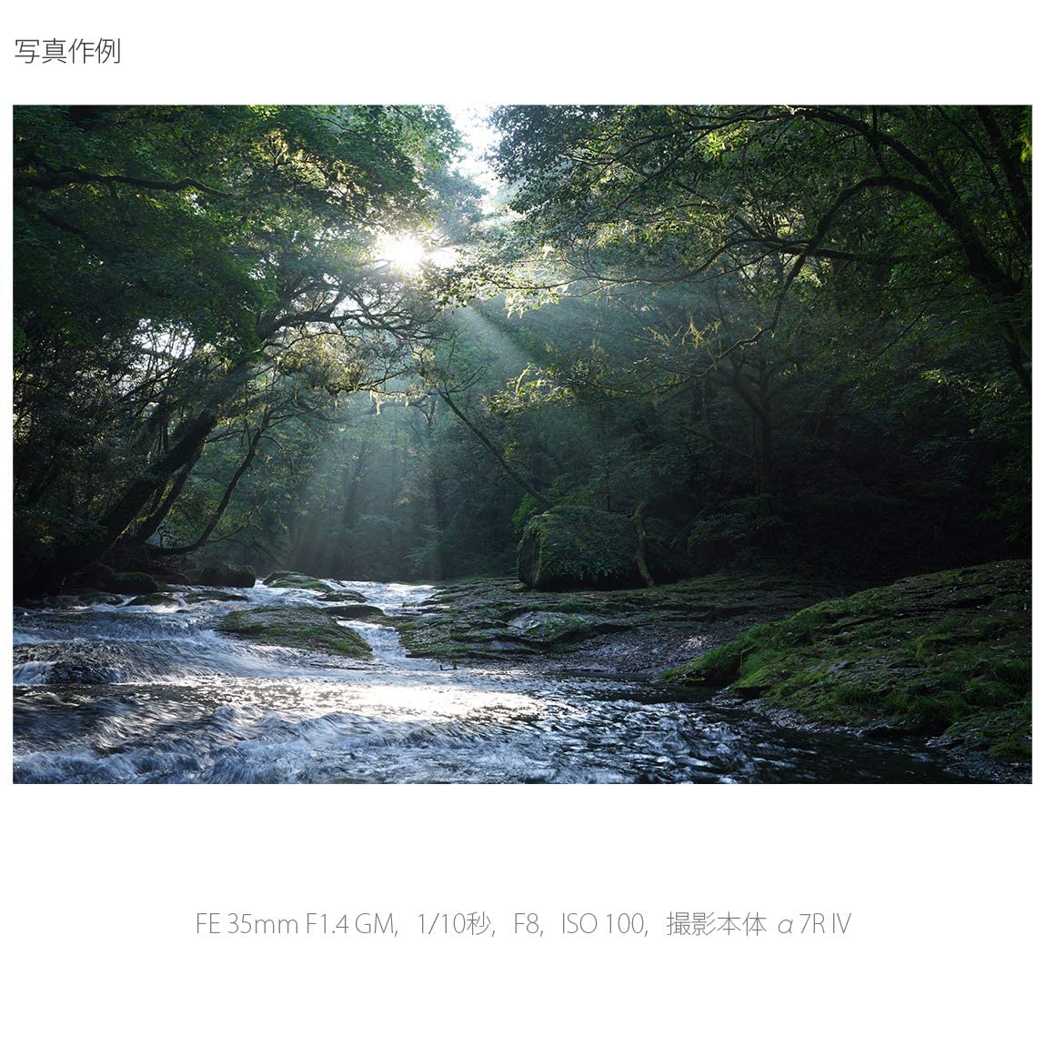 소니 G Master FE 35mm F1.4 GM 광각 단렌즈 SEL35F14GM 이미지 4