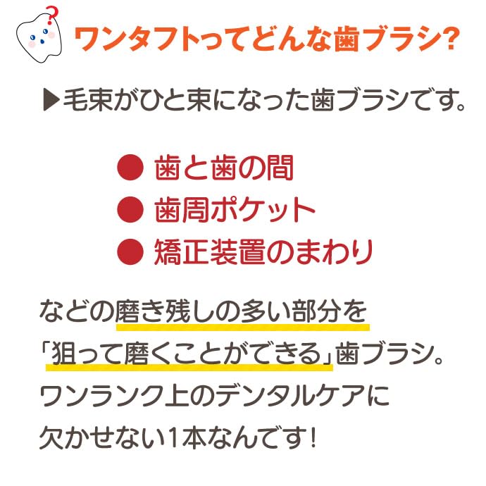 Ci메디컬 CiPRO 원터프트 칫솔 라지헤드 M 보통 10개입 이미지 4
