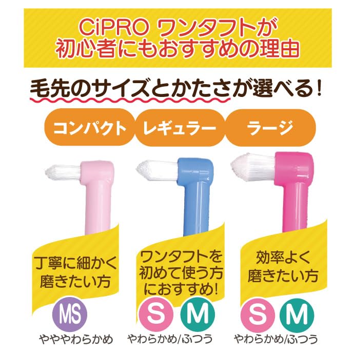 Ci메디컬 CiPRO 원터프트 칫솔 라지헤드 M 보통 10개입 이미지 6