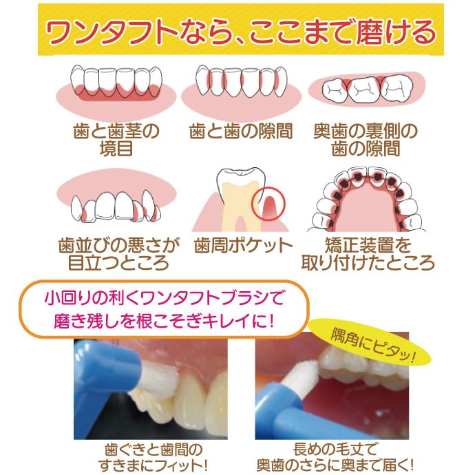 Ci메디컬 CiPRO 원터프트 칫솔 라지헤드 M 보통 10개입 이미지 5